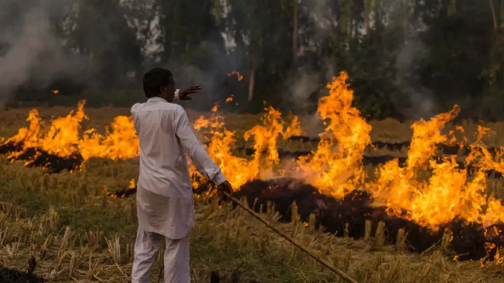 Farm Fires In Punjab